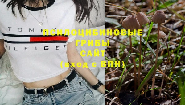 мяу мяу кристалл Осинники