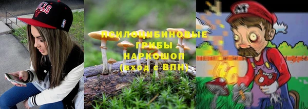 мет Инсар