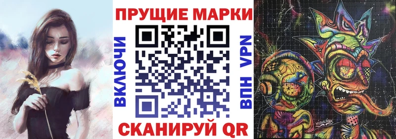 дарнет шоп  Камышлов  Марки 25I-NBOMe 1500мкг 