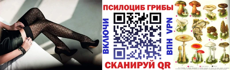 Галлюциногенные грибы GOLDEN TEACHER  OMG маркетплейс  Камышлов 